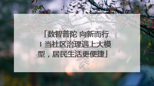数智普陀 向新而行〡当社区治理遇上大模型，居民生活更便捷