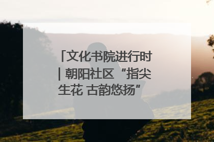 文化书院进行时｜朝阳社区“指尖生花 古韵悠扬”公益课堂开课了