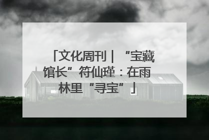 文化周刊｜“宝藏馆长”符仙瑾：在雨林里“寻宝”