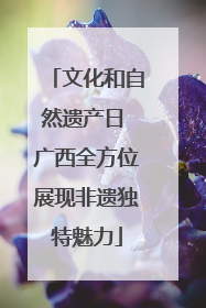 文化和自然遗产日 广西全方位展现非遗独特魅力
