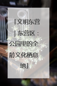 文明东营｜东营区：公园里的全龄文化栖息地
