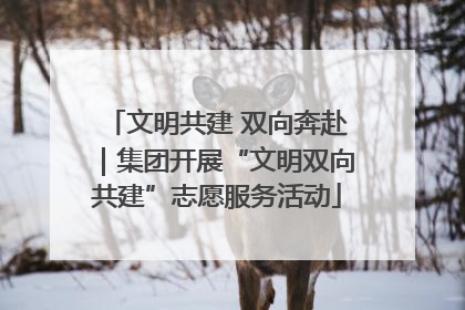 文明共建 双向奔赴｜集团开展“文明双向共建”志愿服务活动