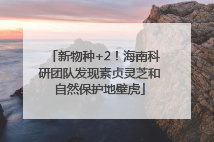 新物种+2！海南科研团队发现素贞灵芝和自然保护地壁虎