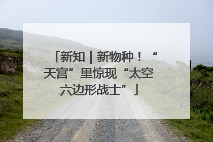 新知｜新物种！“天宫”里惊现“太空六边形战士”