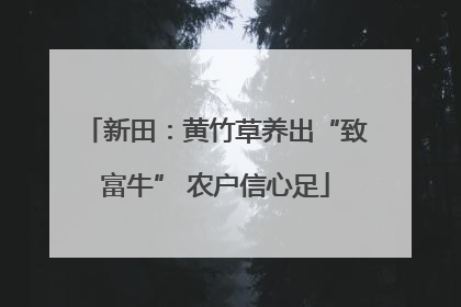 新田：黄竹草养出“致富牛” 农户信心足