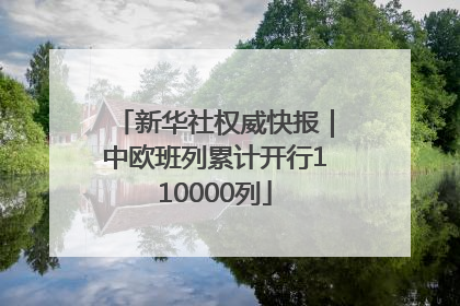 新华社权威快报｜中欧班列累计开行110000列