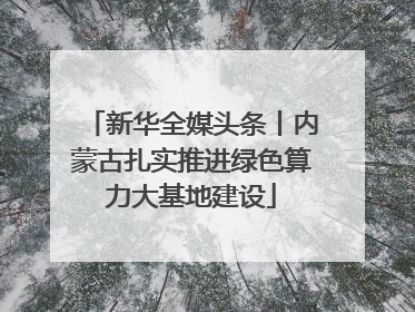 新华全媒头条丨内蒙古扎实推进绿色算力大基地建设