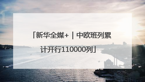 新华全媒+｜中欧班列累计开行110000列