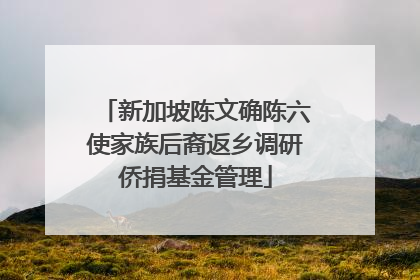 新加坡陈文确陈六使家族后裔返乡调研侨捐基金管理