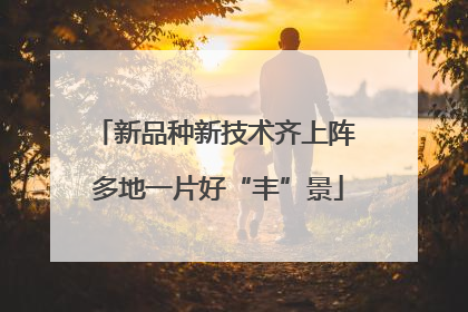 新品种新技术齐上阵 多地一片好“丰”景