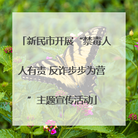 新民市开展“禁毒人人有责 反诈步步为营”主题宣传活动