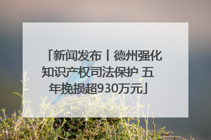 新闻发布丨德州强化知识产权司法保护 五年挽损超930万元