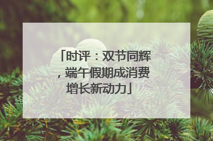时评：双节同辉，端午假期成消费增长新动力