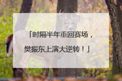 时隔半年重回赛场，樊振东上演大逆转！