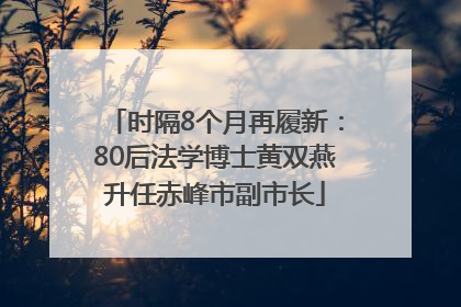 时隔8个月再履新：80后法学博士黄双燕升任赤峰市副市长