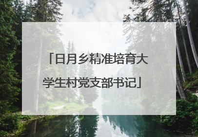 日月乡精准培育大学生村党支部书记