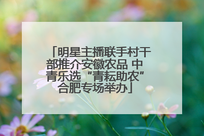 明星主播联手村干部推介安徽农品 中青乐选“青耘助农”合肥专场举办