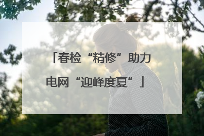春检“精修”助力电网“迎峰度夏”