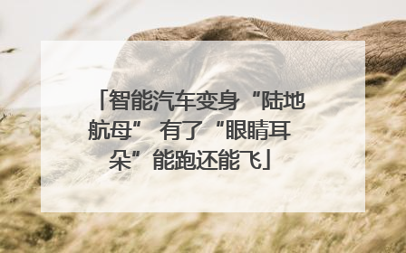 智能汽车变身“陆地航母” 有了“眼睛耳朵”能跑还能飞