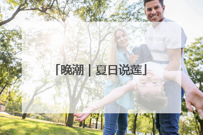 晚潮｜夏日说莲