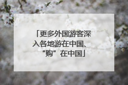更多外国游客深入各地游在中国、“购”在中国