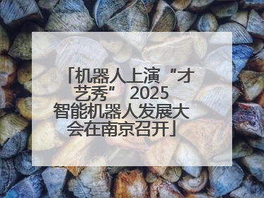 机器人上演“才艺秀” 2025智能机器人发展大会在南京召开