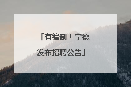 有编制！宁德发布招聘公告