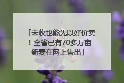 未收也能先以好价卖！全省已有70多万亩新麦在网上售出