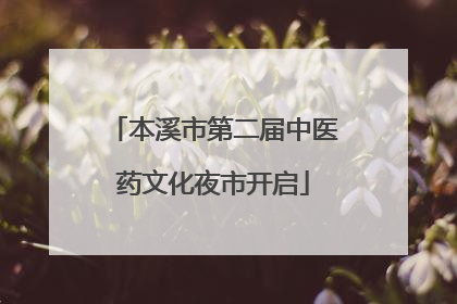 本溪市第二届中医药文化夜市开启