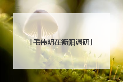 毛伟明在衡阳调研