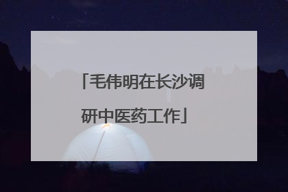 毛伟明在长沙调研中医药工作