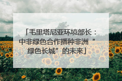 毛里塔尼亚环境部长：中非绿色合作播种非洲“绿色长城”的未来
