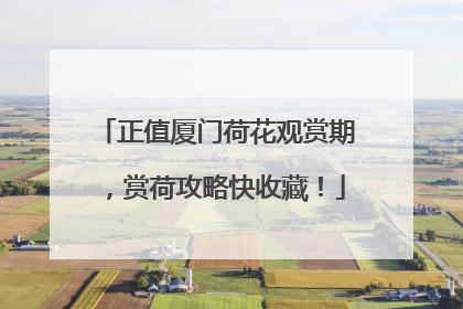 正值厦门荷花观赏期，赏荷攻略快收藏！