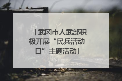 武冈市人武部积极开展“民兵活动日”主题活动