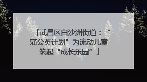 武昌区白沙洲街道：“蒲公英计划”为流动儿童筑起“成长乐园”
