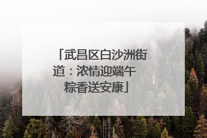武昌区白沙洲街道：浓情迎端午 粽香送安康