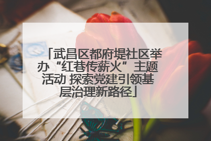 武昌区都府堤社区举办“红巷传薪火”主题活动 探索党建引领基层治理新路径