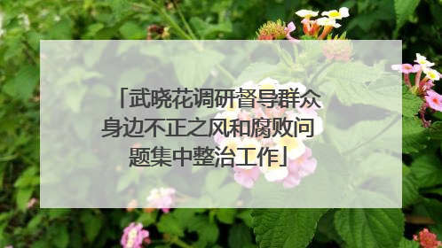 武晓花调研督导群众身边不正之风和腐败问题集中整治工作