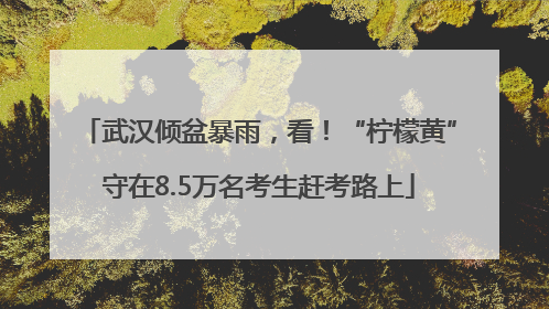 武汉倾盆暴雨，看！“柠檬黄”守在8.5万名考生赶考路上