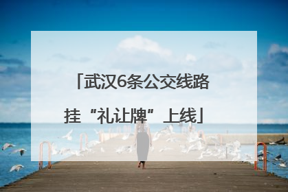 武汉6条公交线路挂“礼让牌”上线