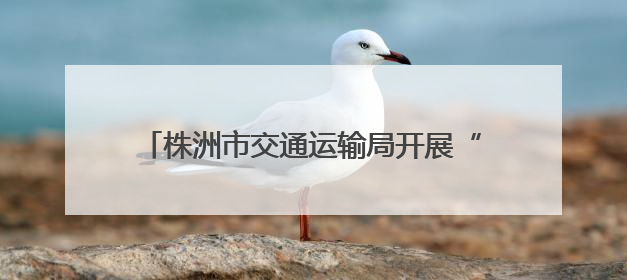株洲市交通运输局开展“银龄端午福满情”活动