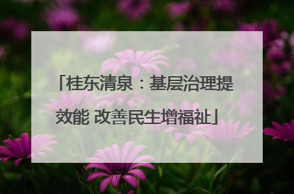 桂东清泉：基层治理提效能 改善民生增福祉