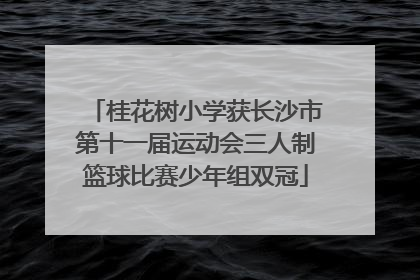 桂花树小学获长沙市第十一届运动会三人制篮球比赛少年组双冠