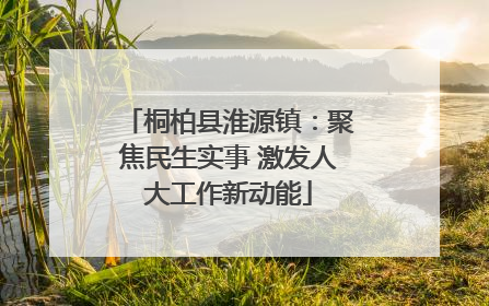 桐柏县淮源镇：聚焦民生实事 激发人大工作新动能
