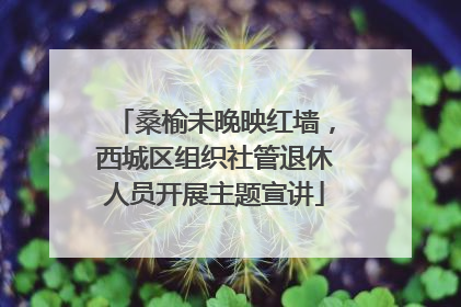 桑榆未晚映红墙，西城区组织社管退休人员开展主题宣讲