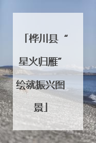 桦川县“星火归雁”绘就振兴图景