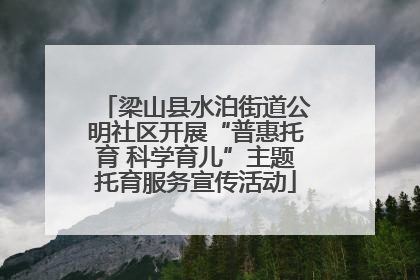 梁山县水泊街道公明社区开展“普惠托育 科学育儿”主题托育服务宣传活动