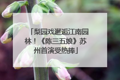 梨园戏邂逅江南园林！《陈三五娘》苏州首演受热捧