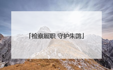 检察履职 守护朱鹮