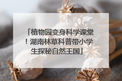 植物园变身科学课堂！湖南林草科普带小学生探秘自然王国